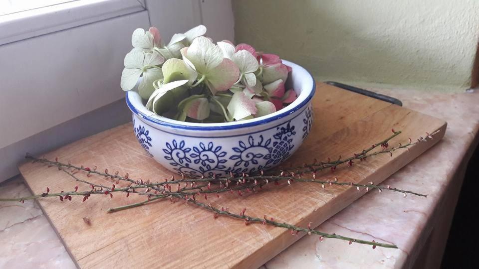Carrobbio Bed&Breakfast Konuk evi Cremona Dış mekan fotoğraf