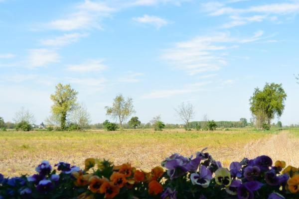 Carrobbio Bed&Breakfast Konuk evi Cremona Dış mekan fotoğraf